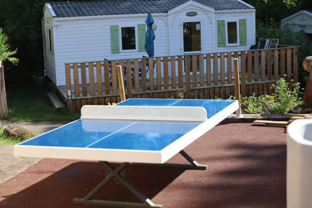 Ping-pong