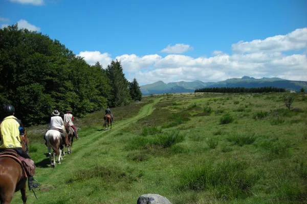 Aya'Cheval – Balades et randonnées à cheval dans les Combrailles