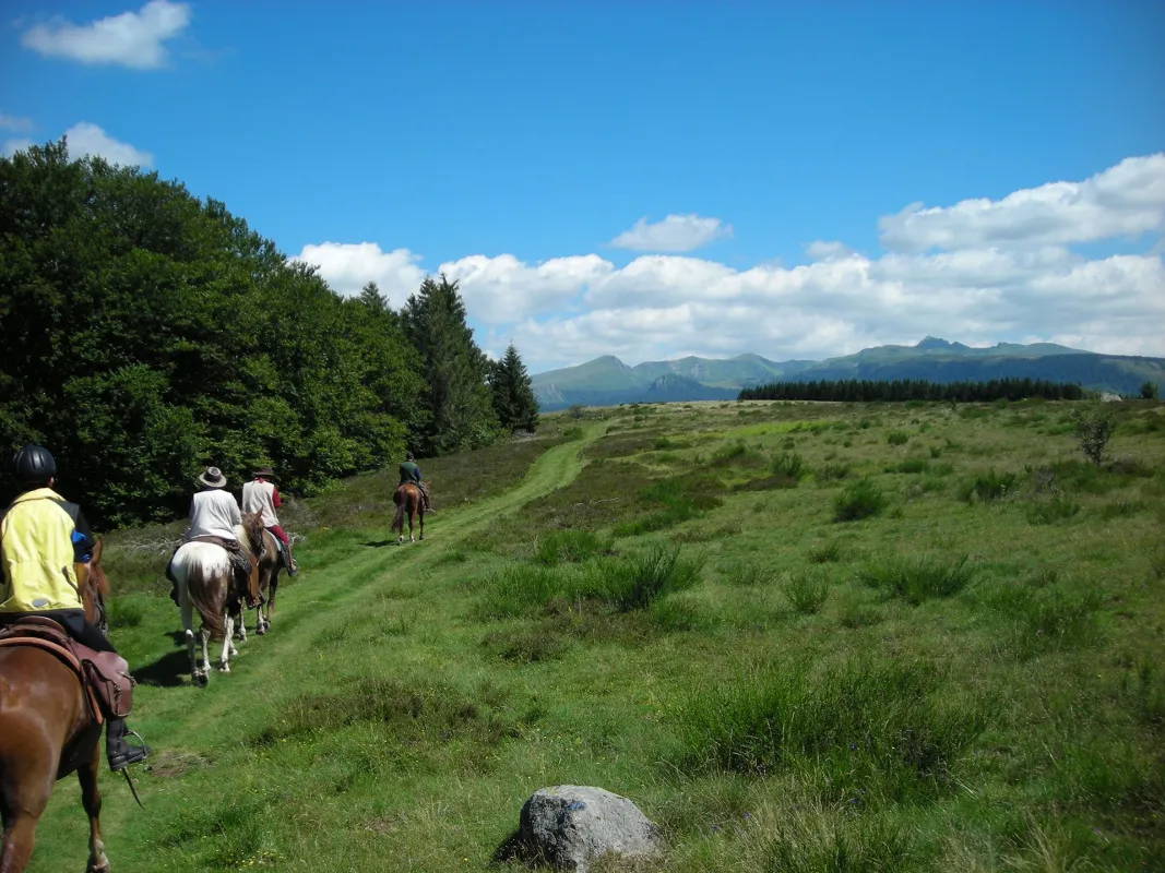 Aya'Cheval – Balades et randonnées à cheval dans les Combrailles