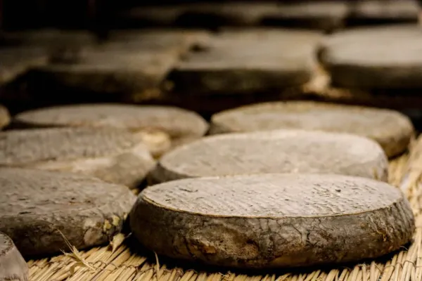 La Maison du Fromage – im Herzen der Auvergne-Traditionen