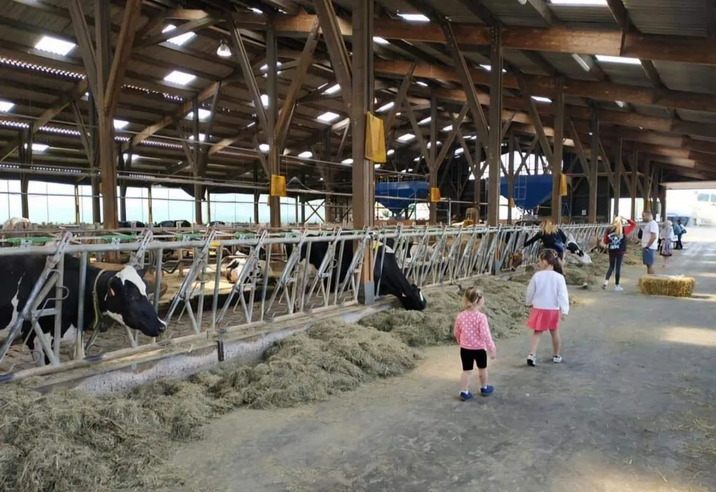 La Ferme du Clos, een onderdompeling in de lokale landbouw