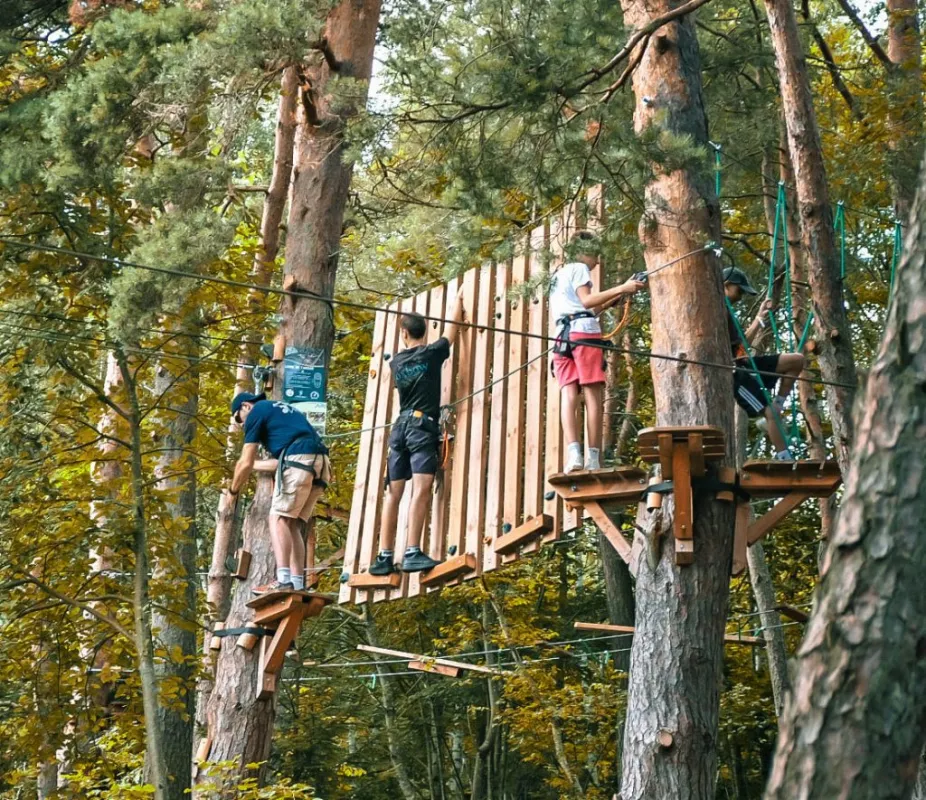 Alti Parc, treetop adventure in the heart of Auvergne nature