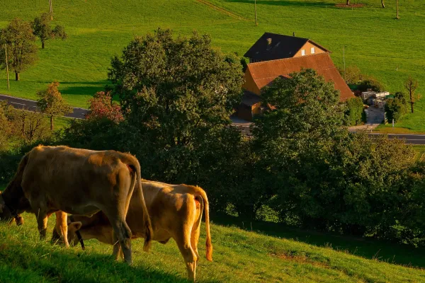 Hofgasthäuser – Ursprünglichkeit im Herzen der Auvergne