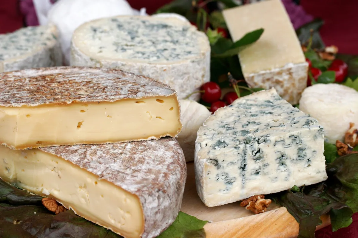 Probieren Sie die Käse der Auvergne – ein unverzichtbares Erlebnis