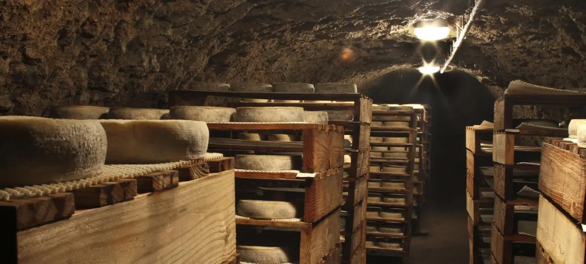 Die Käsekeller von Saint-Nectaire – im Herzen des Auvergne-Terroirs
