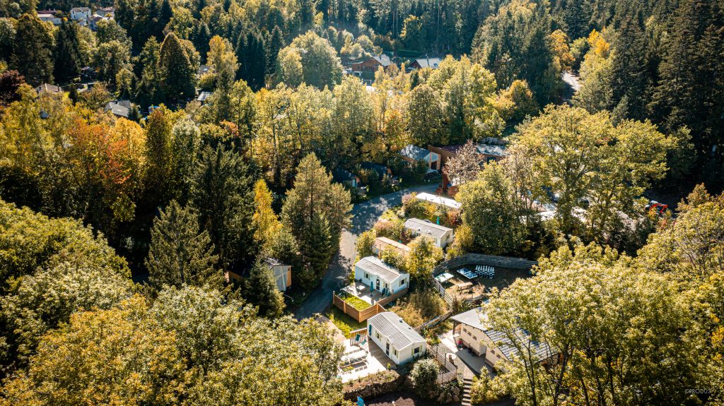 Au bord du lac d’Aydat, des vacances actives entre nature et plaisir en famille Camping la Clairière