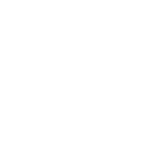 Services 4