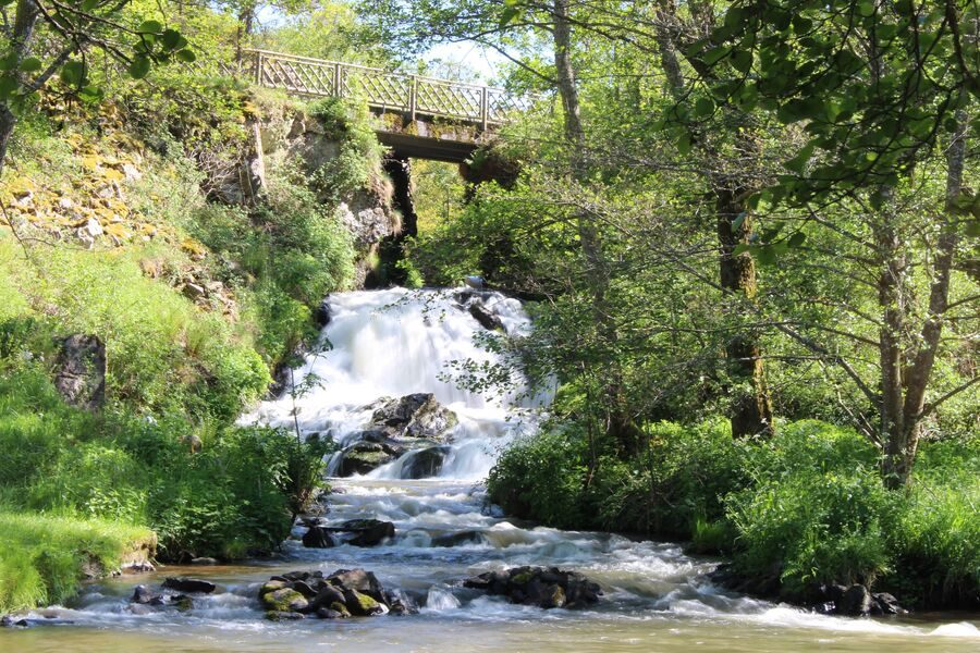 La cascade de Montfermy, un joyau naturel à découvrir cascade de montferny dans la nature