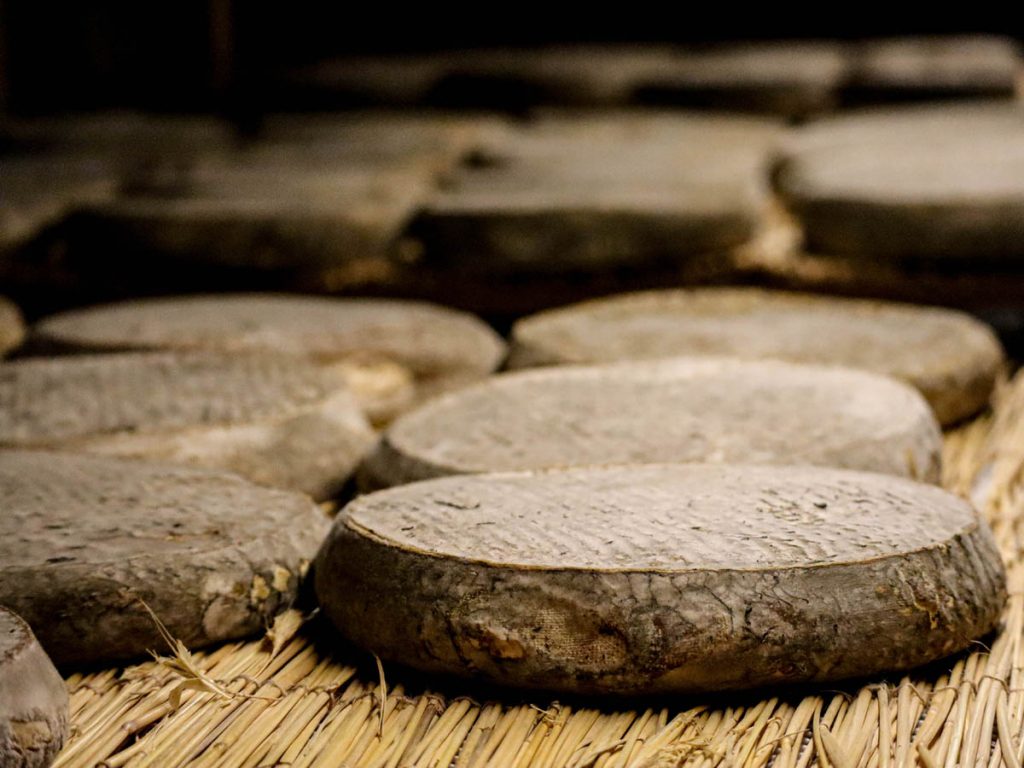 La Maison du Fromage, au cœur des traditions auvergnates fromage saint nectaire